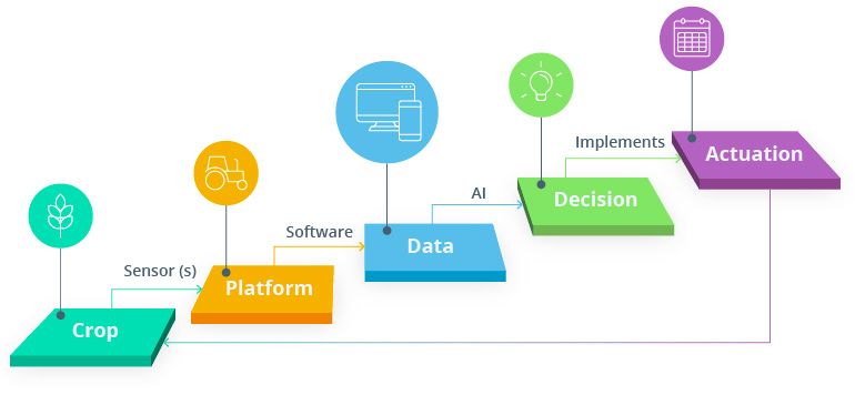Illustration showing the use of AI in agriculture