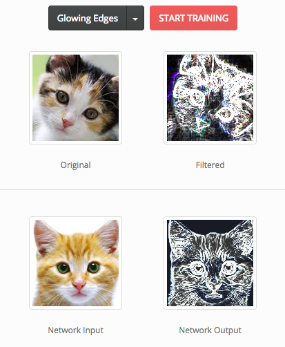 Cat images shwoing training Synaptic image-filter perceptron